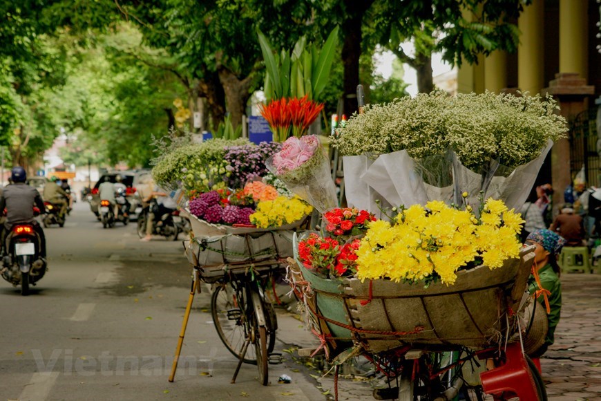 THE COLORFUL FLOWERS IN HANOI
