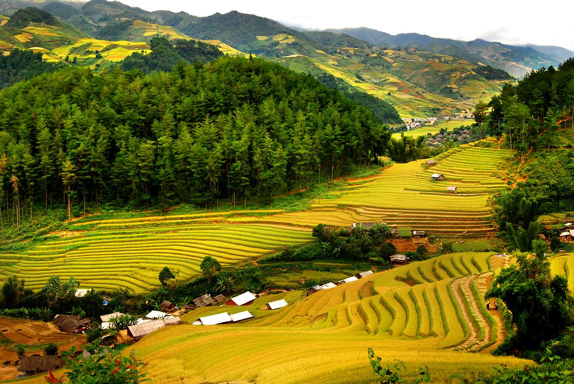 Top 8 must-visit places in North Vietnam