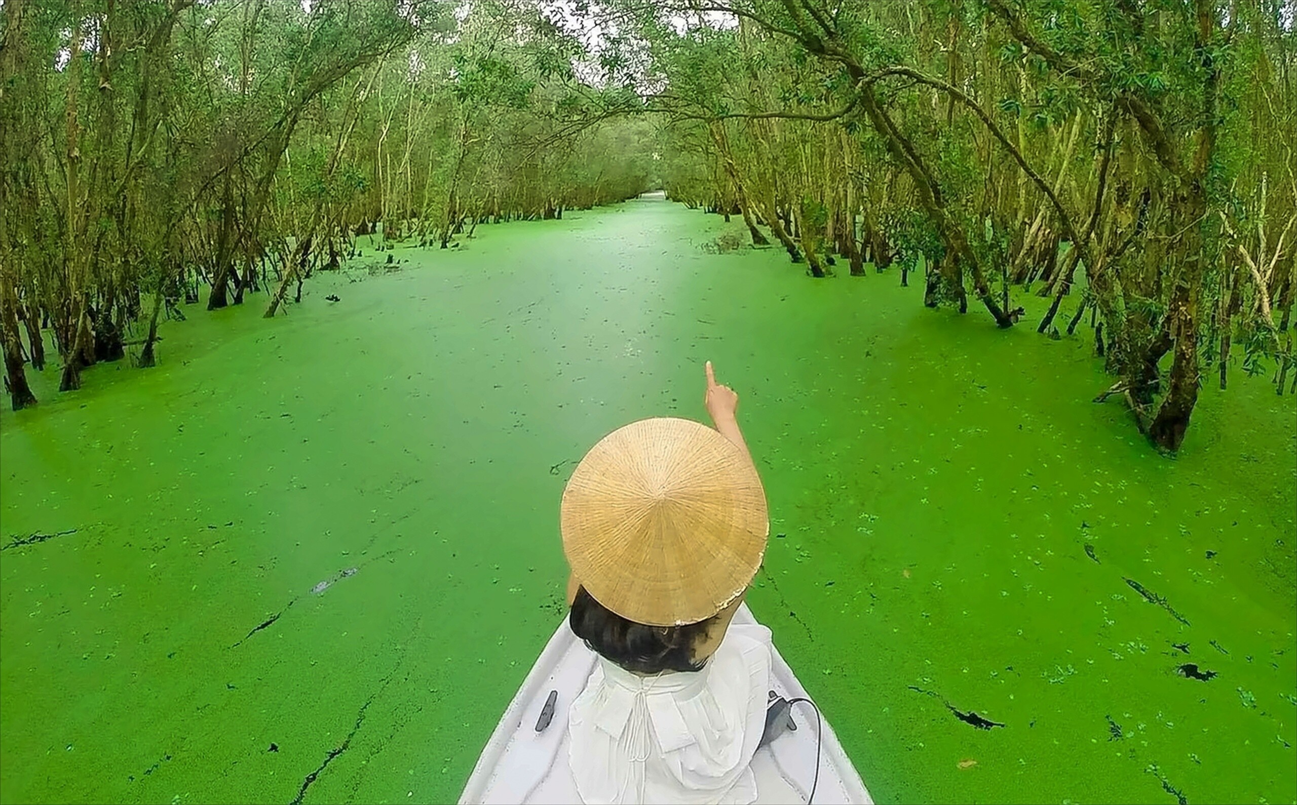 7 Essential Attractions to Visit in the Mekong Delta