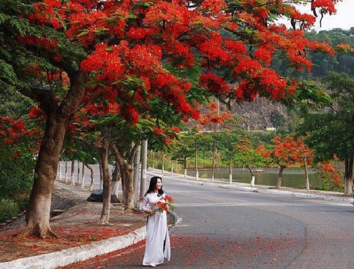 Vietnam’s Weather and Top Destinations to Explore in May Vietnam’s Weather and Top Destinations to Explore in May